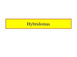 Hybridomas