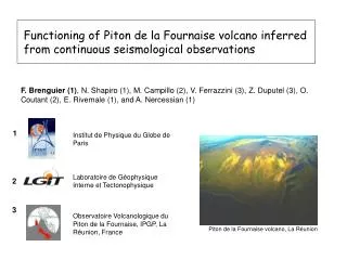 Functioning of Piton de la Fournaise volcano inferred from continuous seismological observations