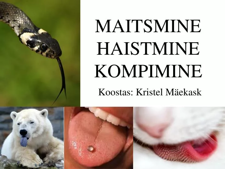 maitsmine haistmine kompimine