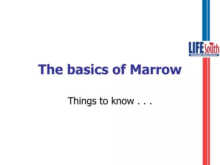 the basics of marrow