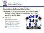 Marine Litter - slide 1