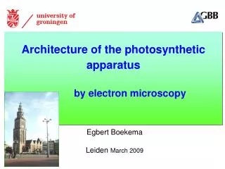 Architecture of the photosynthetic apparatus by electron microscopy