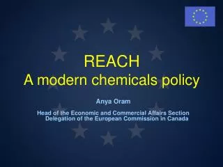 REACH A modern chemicals policy