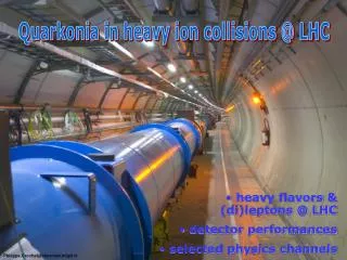 Quarkonia in heavy ion collisions @ LHC