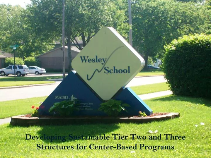 developing sustainable tier two and three structures for center based programs