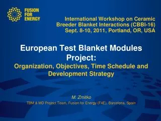 The European Breeder Blanket concepts European TBM Project Organization TBM testing at ITER