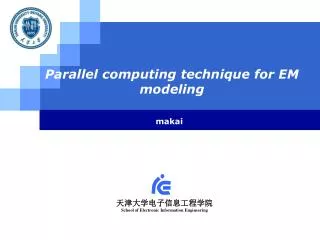 Parallel computing technique for EM modeling