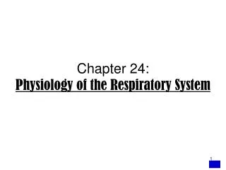 Chapter 24: Physiology of the Respiratory System