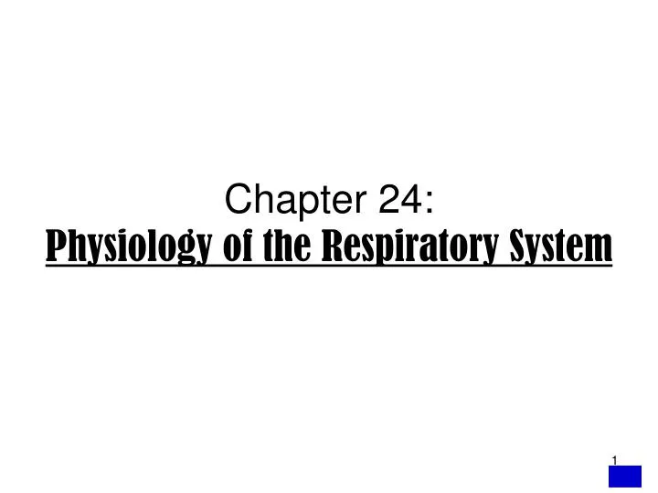 chapter 24 physiology of the respiratory system