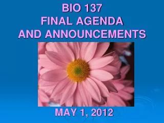BIO 137 FINAL AGENDA AND ANNOUNCEMENTS