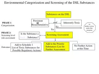 Environmental Categorization and Screening of the DSL Substances