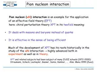 Pion nucleon interaction