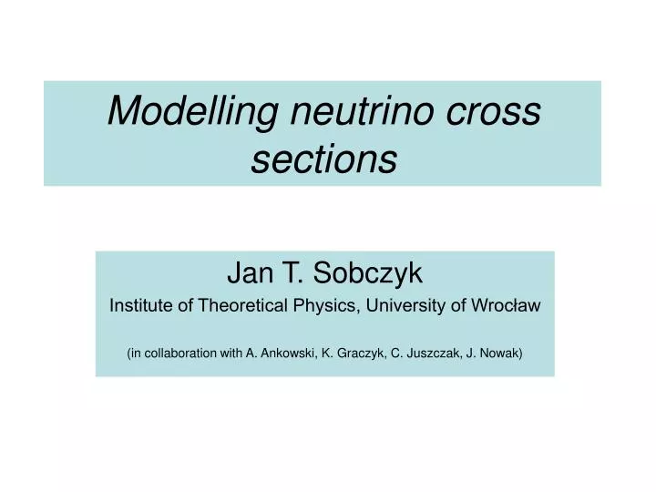modelling neutrino cross sections