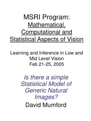 Is there a simple Statistical Model of Generic Natural Images? David Mumford