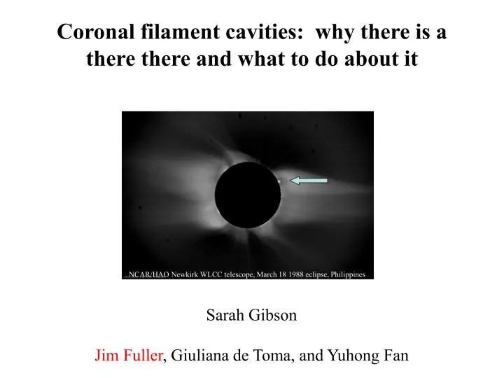 coronal filament cavities why there is a there there and what to do about it