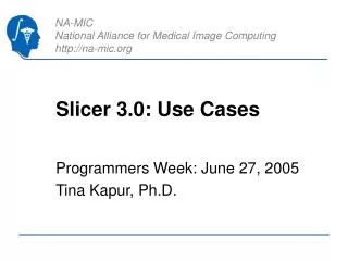 Slicer 3.0: Use Cases