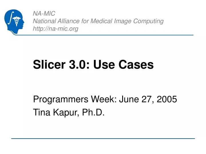 slicer 3 0 use cases