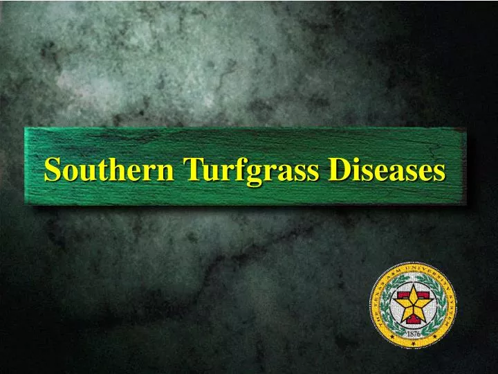 southern turfgrass diseases