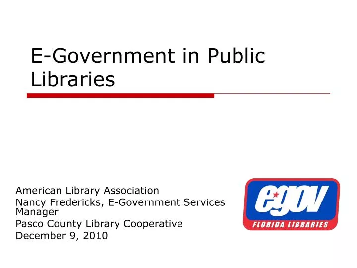 e government in public libraries