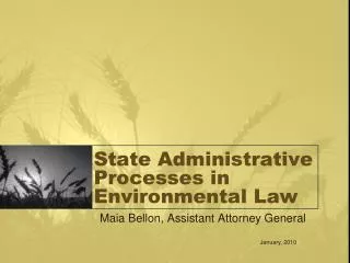 State Administrative Processes in Environmental Law