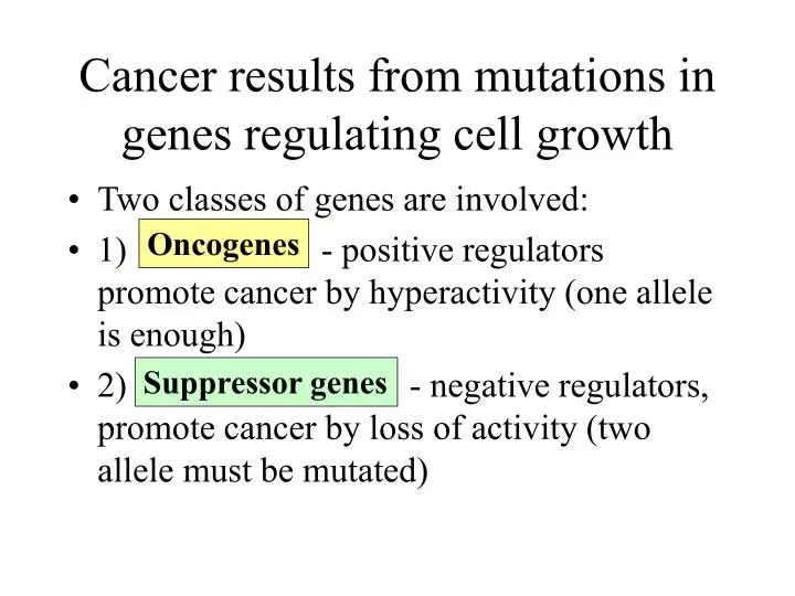 cancer results from mutations in genes regulating cell growth