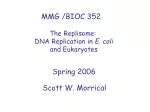 MMG /BIOC 352
