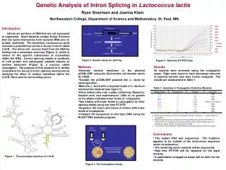 Genetic Analysis of Intron Splicing in Lactococcus lactis