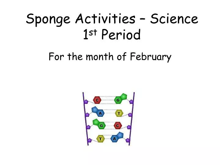 sponge activities science 1 st period