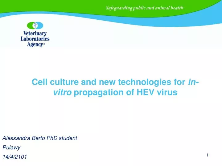 cell culture and new technologies for in vitro propagation of hev virus