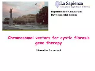 Chromosomal v e ctors for cystic f i brosis gene therapy Fiorentina Ascenzioni