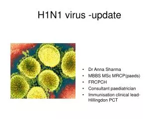 H1N1 virus -update
