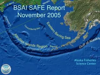 BSAI SAFE Report November 2005