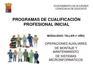 programas de cualificaci n profesional inicial