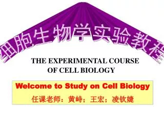 the experimental course of cell biology