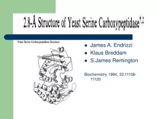 James A. Endrizzi Klaus Breddam S.James Remington Biochemistry 1994, 33,11106-11120