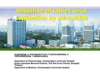 Inhibition of rabies virus replication by microRNA