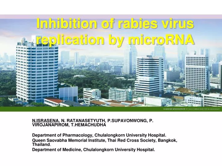 inhibition of rabies virus replication by microrna