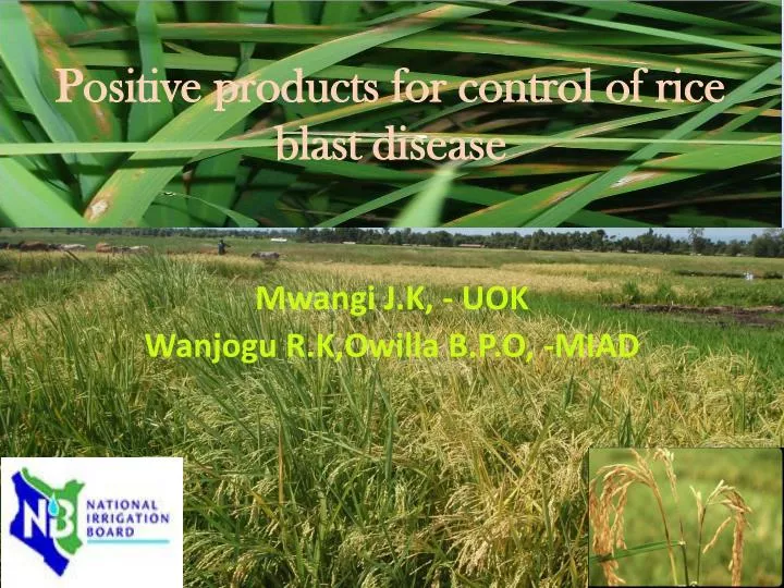 positive products for control of rice blast disease