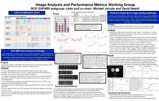 Image Analysis and Performance Metrics Working Group