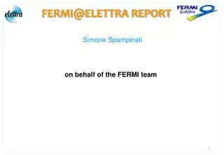 FERMI@ELETTRA REPORT