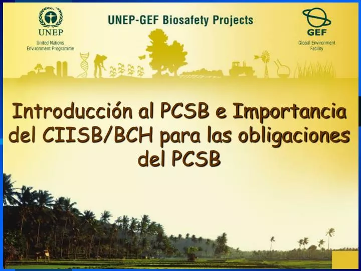 introducci n al pcsb e importancia del ciisb bch para las obligaciones del pcsb