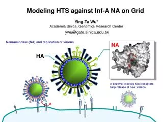 Neuramindase (NA) and replication of virions