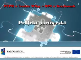 projekt partnerski