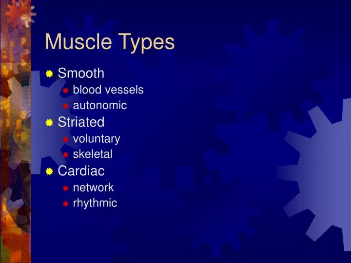 muscle types