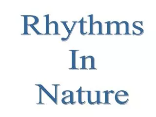 Rhythms In Nature