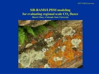SiB-RAMS/LPDM modeling for evaluating regional scale CO 2 fluxes