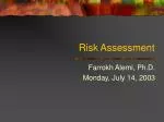 Risk Assessment - slide 1