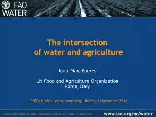 The intersection of water and agriculture