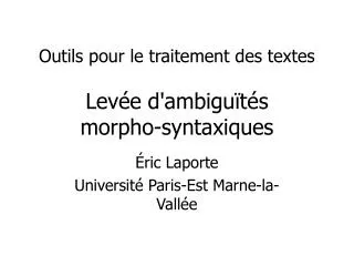outils pour le traitement des textes lev e d ambigu t s morpho syntaxiques