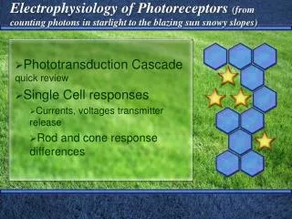 Phototransduction Cascade quick review Single Cell responses